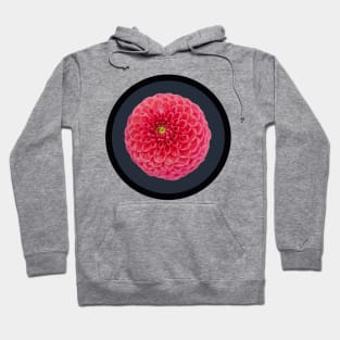 Red Ball Dahlia Flower Circle Frame Hoodie